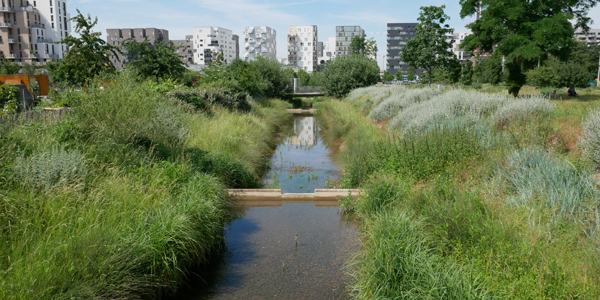 eaux pluviales noues urbain