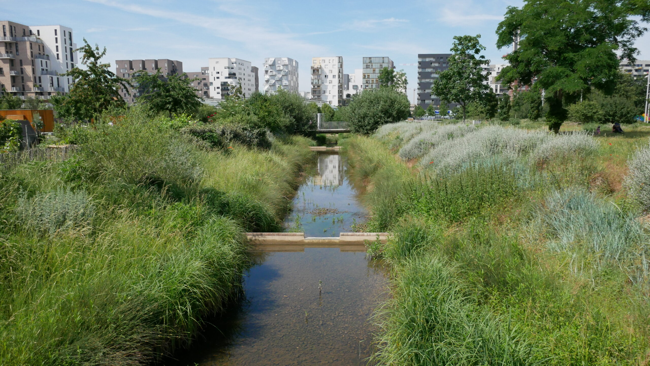 La gestion intégrée des eaux pluviales