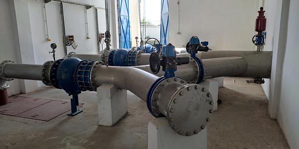 Principios básicos de la gestión de activos